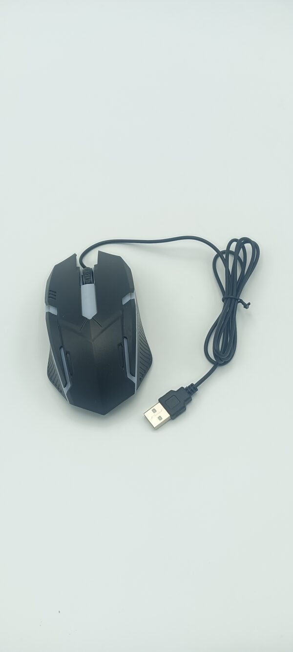 1000051754 SOURIS USB GAMING RGB M160