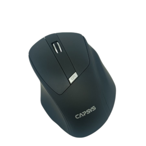SOURIS OPTIQUE SANS FIL COLOR/G-216