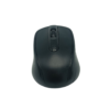 SOURIS OPTIQUE SANS FIL 2.4GHZ / RF-6801